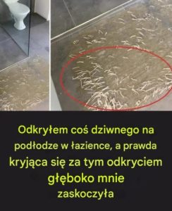 Dlaczego warto zwracać uwagę na tajemnicze ślady na podłodze w łazience — pełna historia odkrycia i rozwiązania